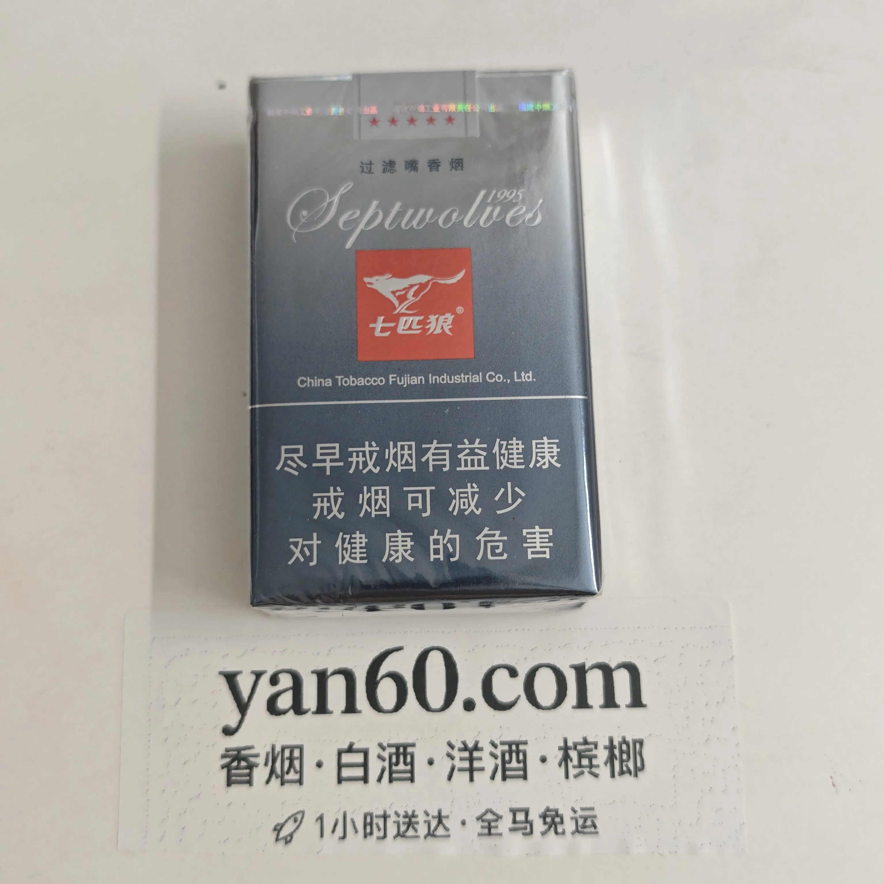 软灰狼 - 图片 3